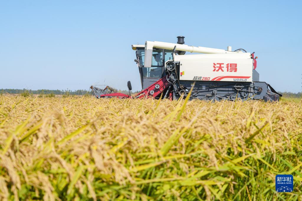 新金沙轮盘